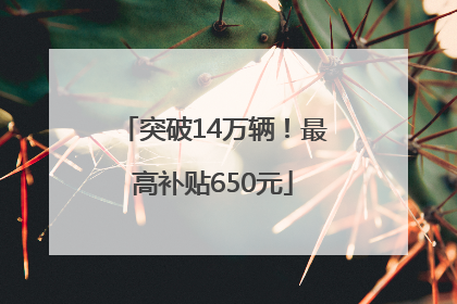 突破14万辆！最高补贴650元